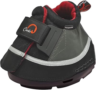 cavallo 运输空气靴